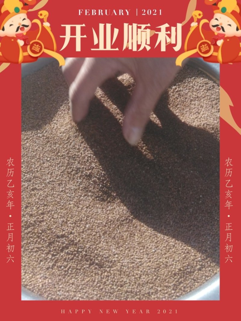 冰粉籽量大价优一手货源欢迎看产品可对接全国市场