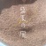 冰粉籽量大价优一手货源欢迎看产品可对接全国市场