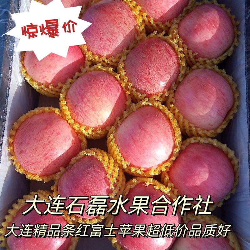 大连精品条红富士苹果