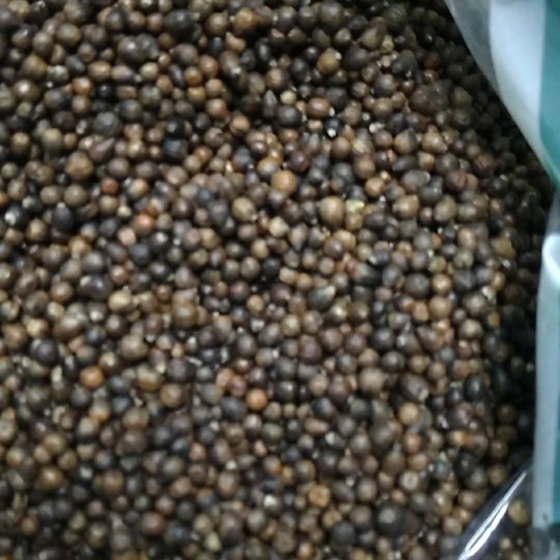 野生黄荆子毛料产地直发，一手货源量大从优可来料加工