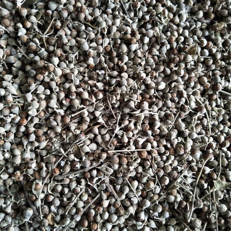 野生黄荆子毛料产地直发，一手货源量大从优可来料加工