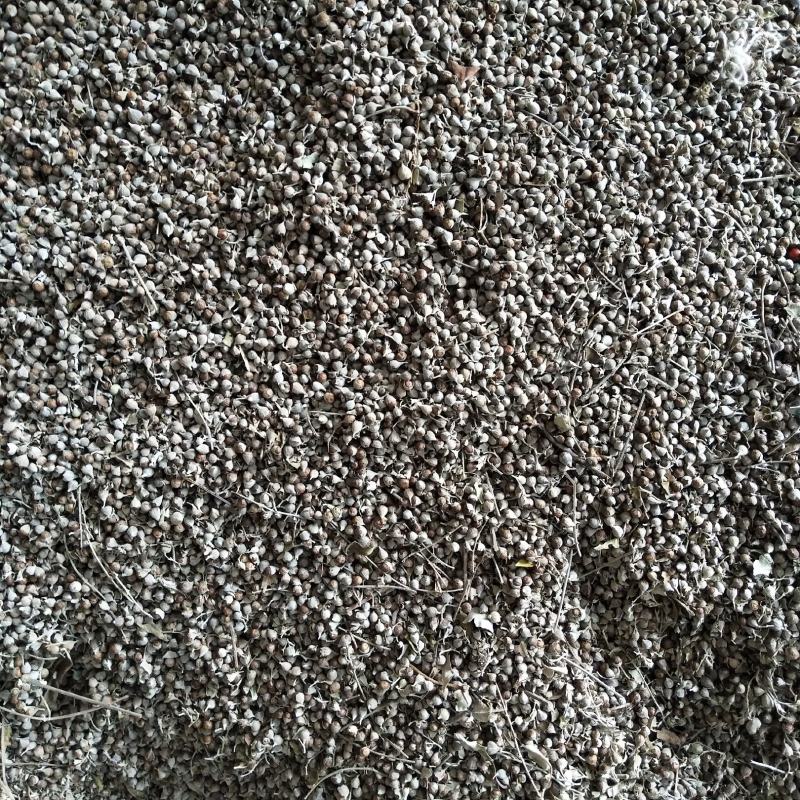 野生黄荆子毛料产地直发，一手货源量大从优可来料加工