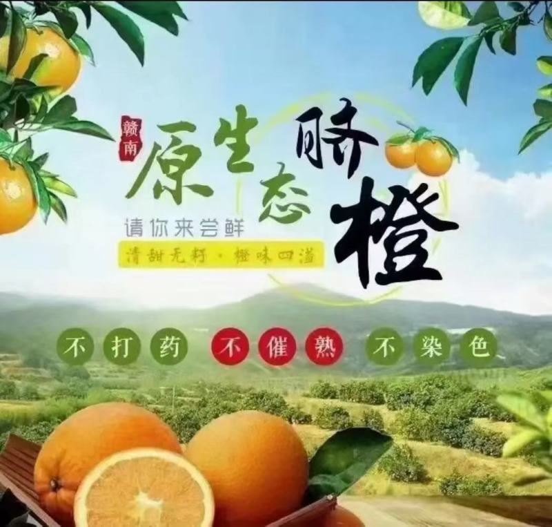 赣南精品脐橙，产地直发，产品保质保量，一件代发