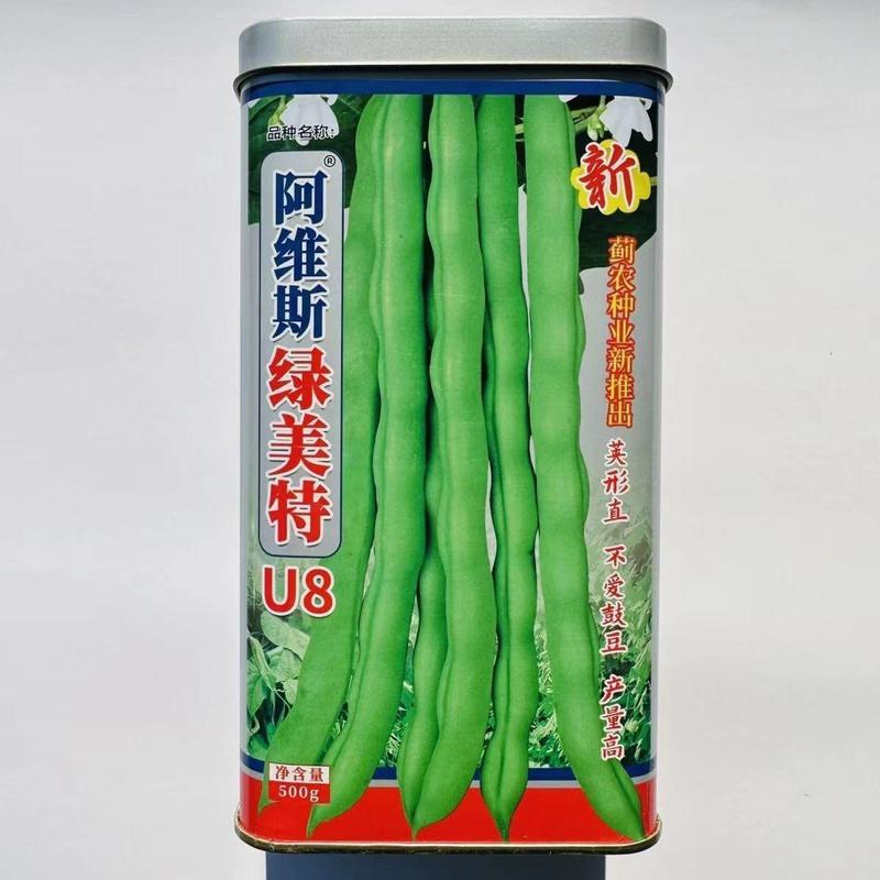 阿维斯绿美特U8架豆种子无筋肉厚纤维少不易鼓豆高产菜豆四
