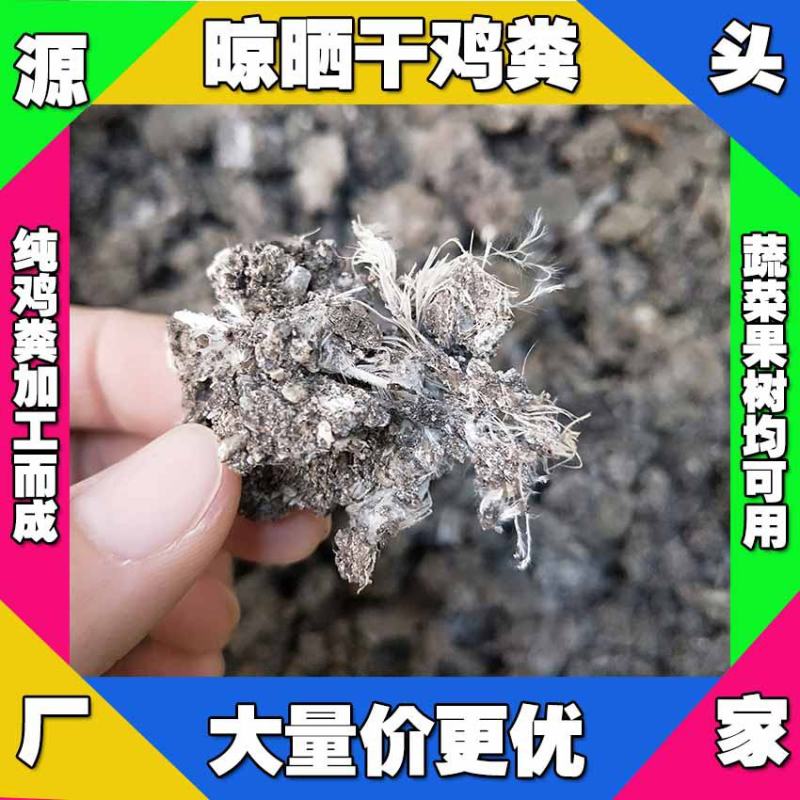 上海干鸡粪出售浦东发酵鸡粪批发奉贤腐熟鸡粪多少钱一吨