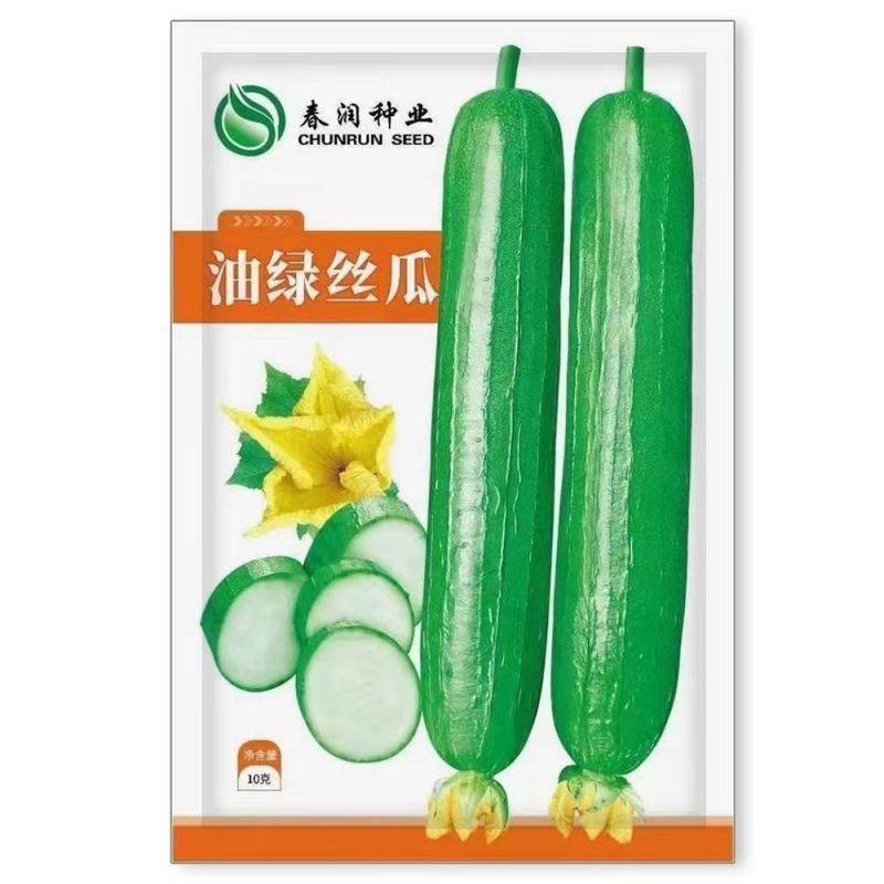 油绿丝瓜短油皮一代杂交丝瓜种子高产抗病春秋油亮丝瓜大田用