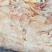 肉鸡鸡腿碎皮