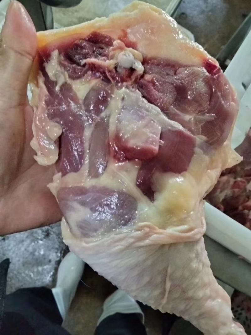 种鸡腿种鸡架，种鸡大胸，种鸡翅全规格