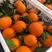 纽荷尔脐橙，长虹，圆红雪橙，九月红果冻橙产地直发