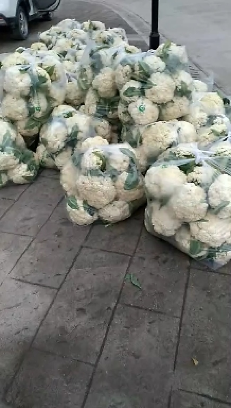 热卖四川散花菜，松花菜，小米花，有机花菜，基地直发