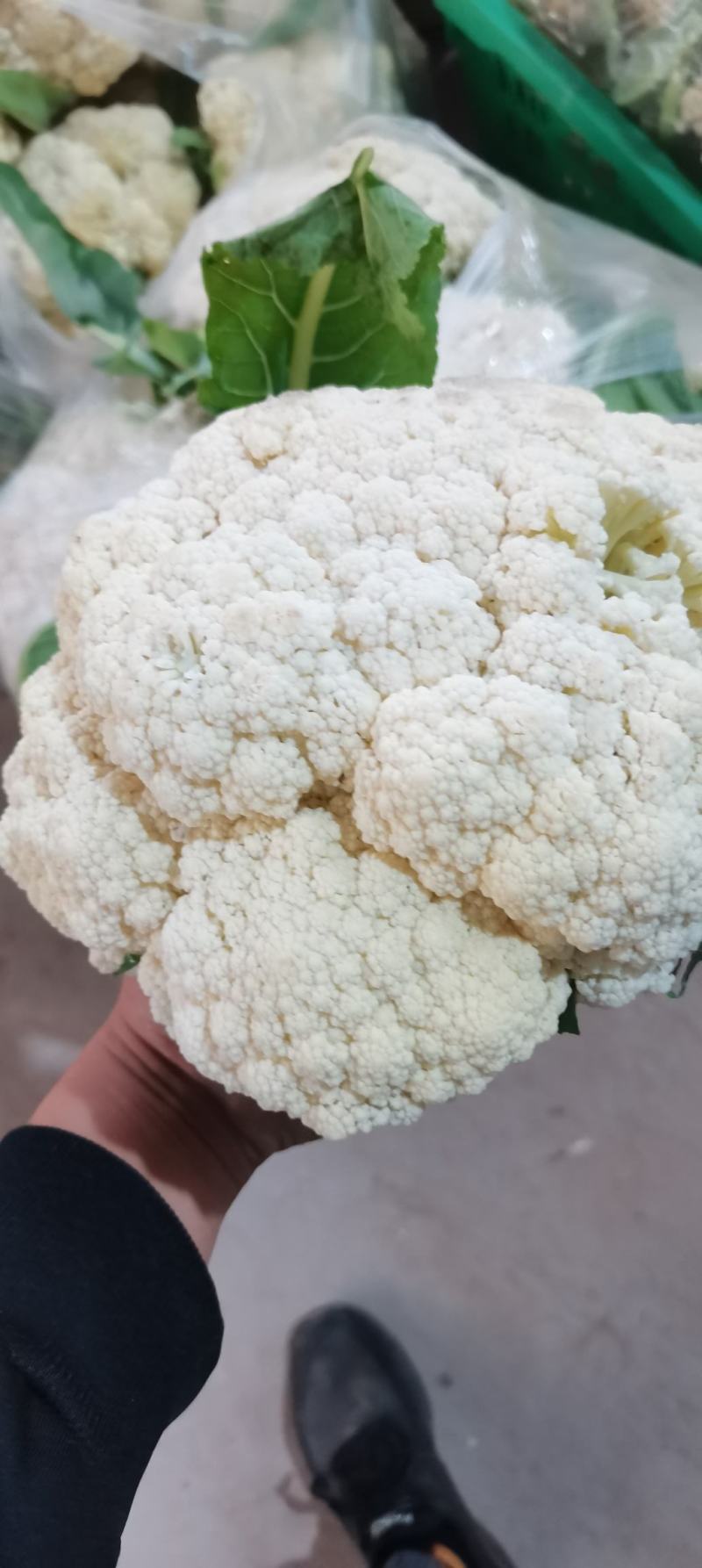 热卖四川散花菜，松花菜，小米花，有机花菜，基地直发