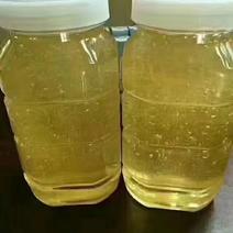 中华土蜂蜜大量供应自产自销价格品质保证