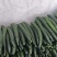 云南精品密刺黄瓜工厂货食堂电商商超一件代发社区团购30吨