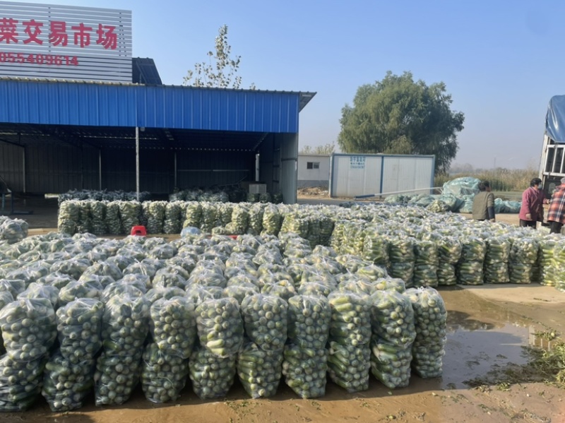 需要的朋友可以联系