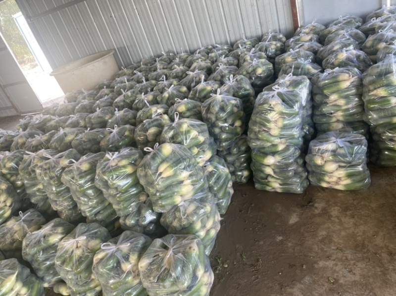 需要的朋友可以联系