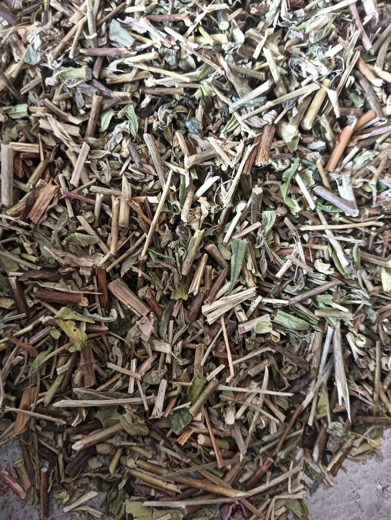 珍珠透骨草实物拍摄现货供应【鲁赣药材批发】