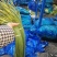 白帽蒜苔收货储存冷库出租代收发市场精品加工