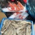 《荐》南美白对虾货源充足量大从优欢迎老板前来选购