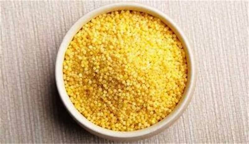 朝阳特产小米货源充足量大从优欢迎老板选购可视频