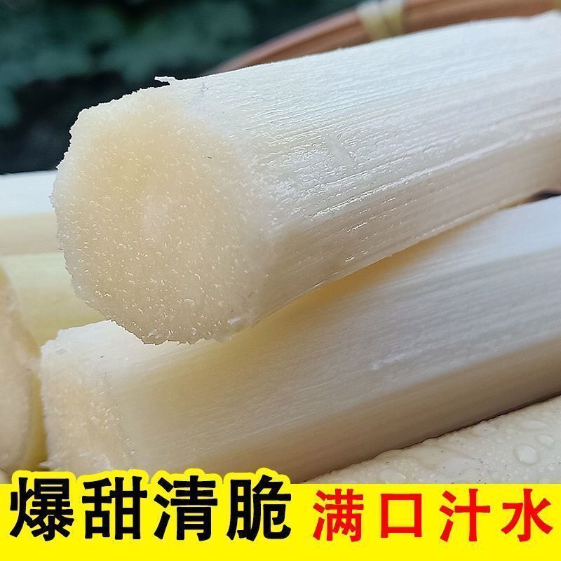 云南黄金甘蔗脆甜爽口，产地货源，对接电商社区团购电联