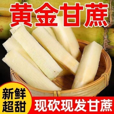 云南黄金甘蔗脆甜爽口，产地货源，对接电商社区团购电联