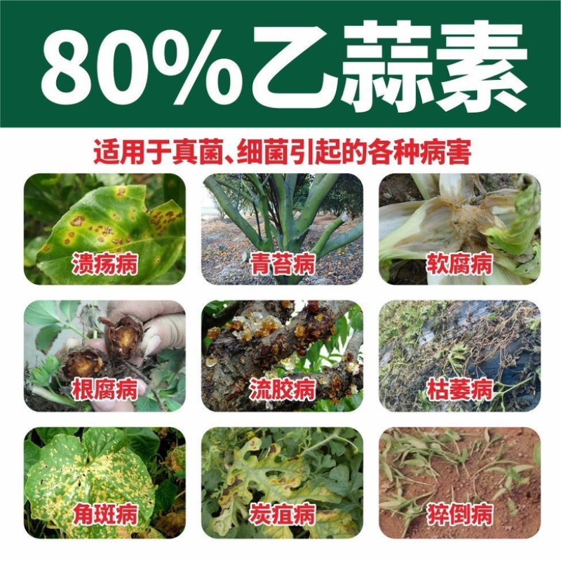 乙蒜素治疗真菌真菌根腐黄萎青苔溃疡枯萎恶苗白粉立枯病