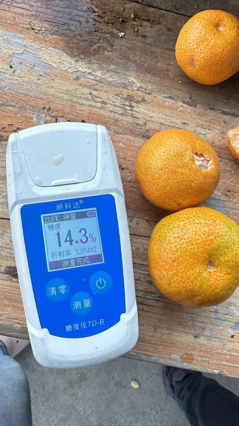 广西砂糖橘正式上市，细皮起砂，纯甜化渣