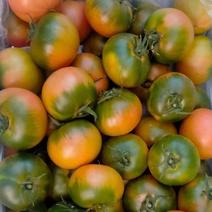 草莓番茄草莓柿子草莓西红柿酸甜可口大量现货支持社团档口供