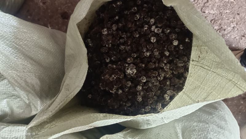 发酵纯羊粪颗粒纯羊粪瓜果蔬菜好肥料