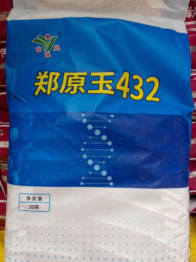 郑原玉432省心免化控：矮杆抗倒密植型优质玉米种子
