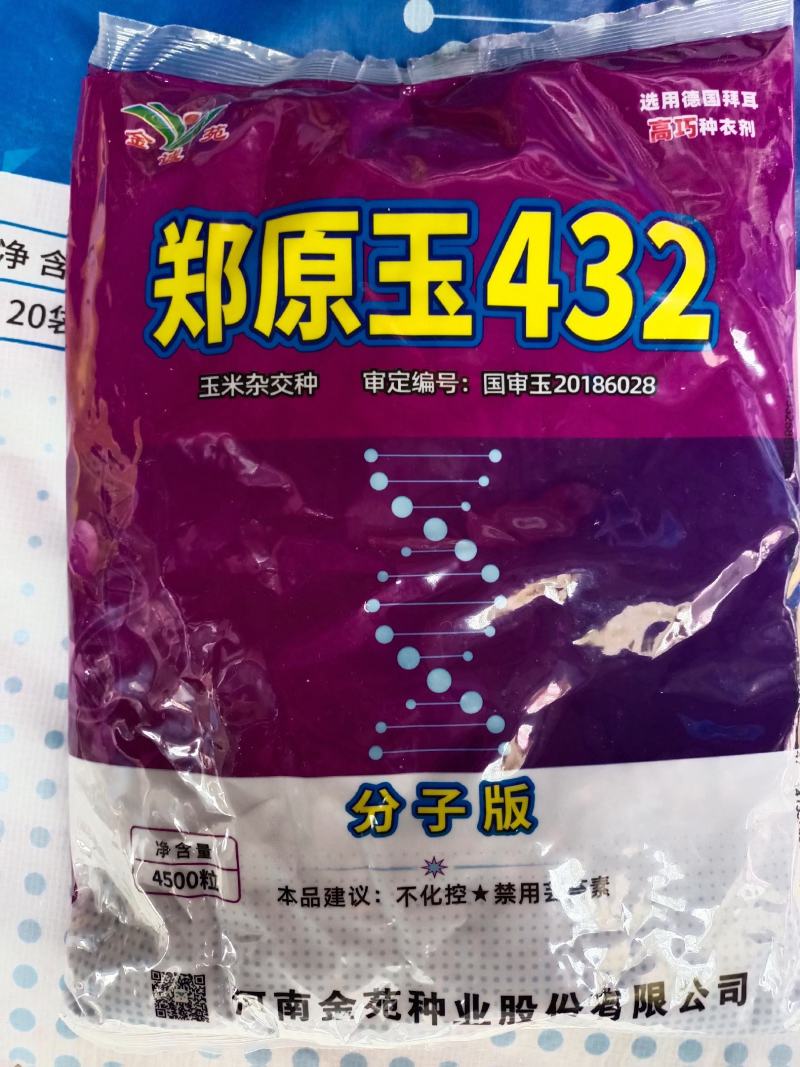 郑原玉432省心免化控：矮杆抗倒密植型优质玉米种子