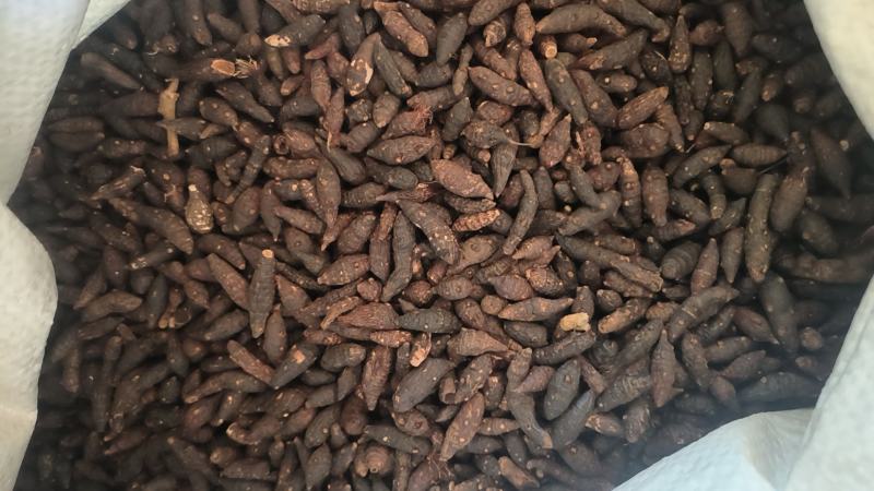 香附中药材生香附香附片精选药食同源香附子香付