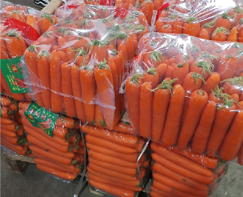 精品三红胡萝卜中条小条价格不高，靓货万亩种植基地