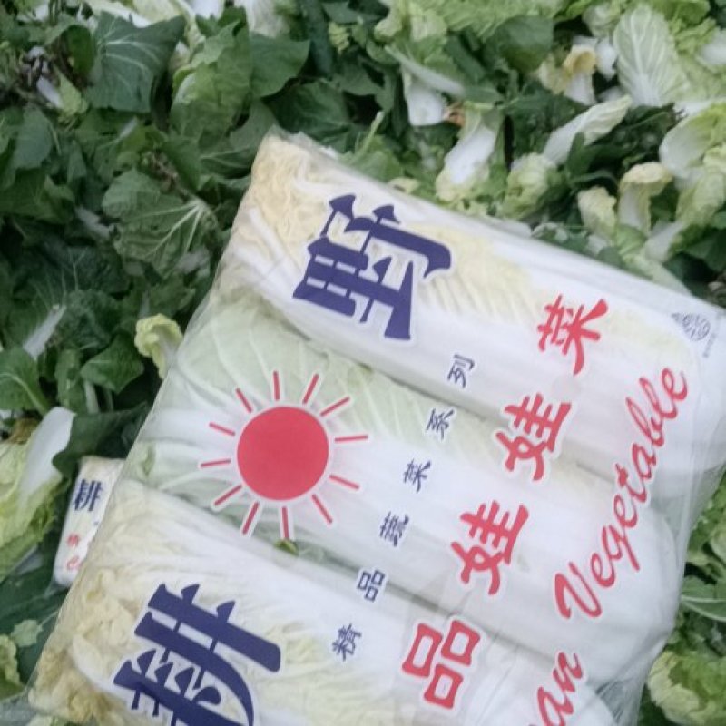 河南直供电商专用3颗一包精品小娃，质量保证，入仓拒收包赔