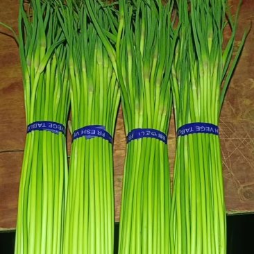 精品红帽蒜薹产地货源对接电商社区团购货源充足