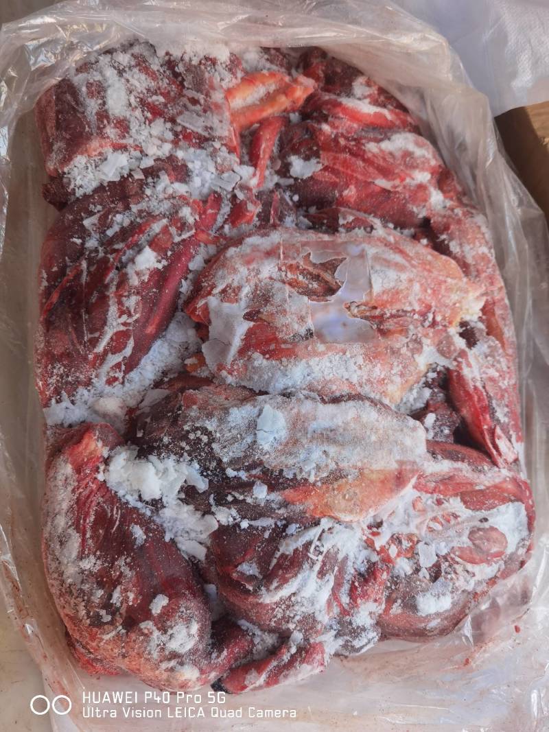 马肉后腿肉颜色鲜质量好欢迎新老顾客光临保质保量