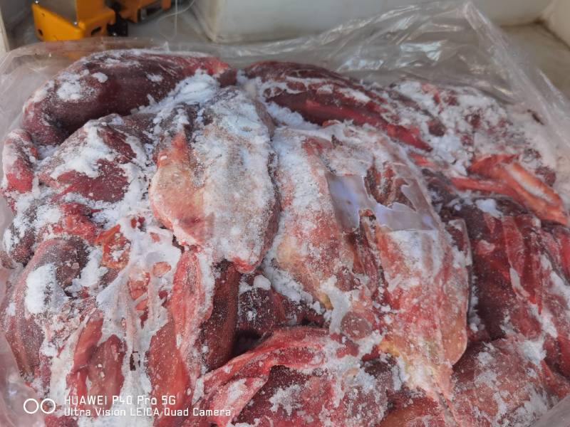 马肉后腿肉颜色鲜质量好欢迎新老顾客光临保质保量