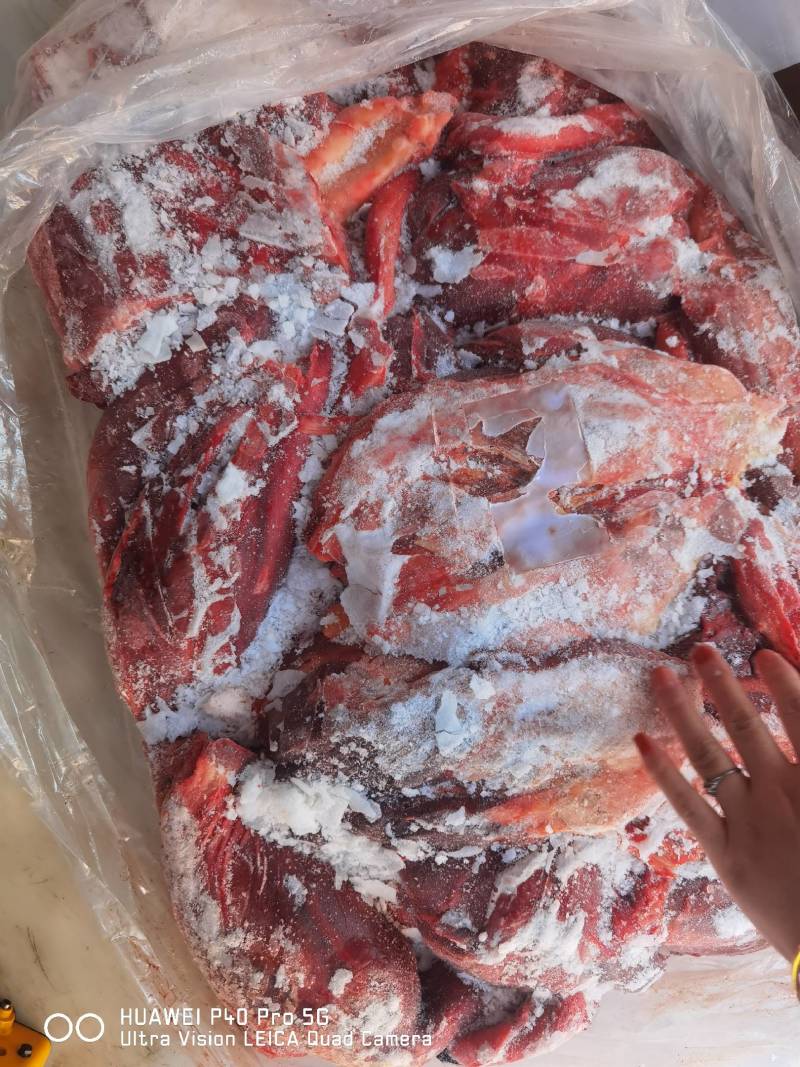 马肉后腿肉颜色鲜质量好欢迎新老顾客光临保质保量
