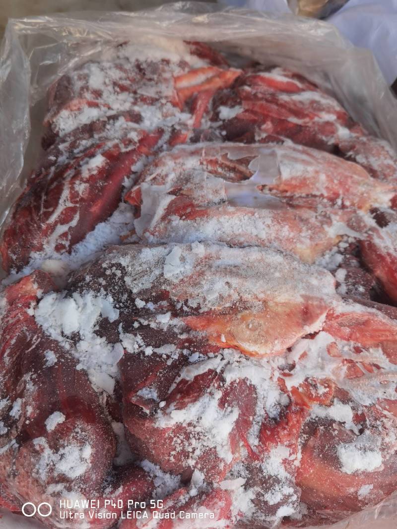 马肉后腿肉颜色鲜质量好欢迎新老顾客光临保质保量