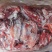 马肉后腿肉颜色鲜质量好欢迎新老顾客光临保质保量