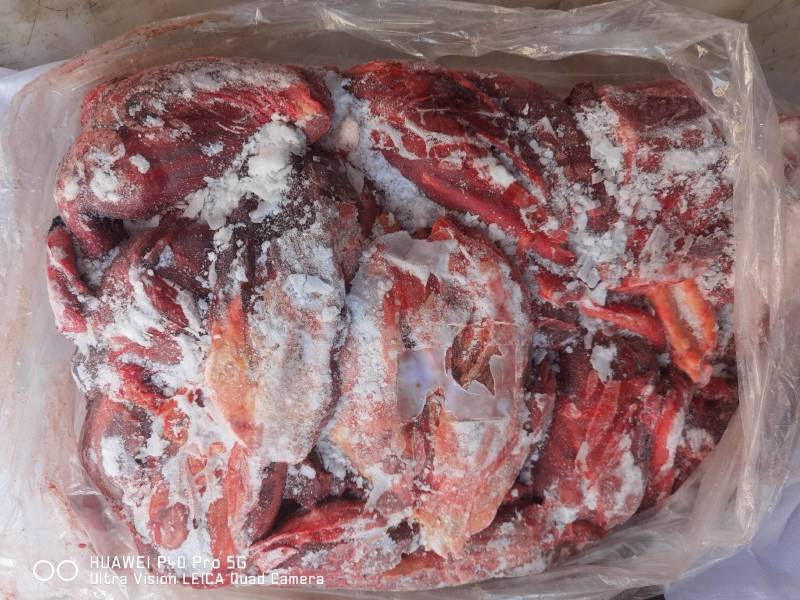 马肉后腿肉颜色鲜质量好欢迎新老顾客光临保质保量