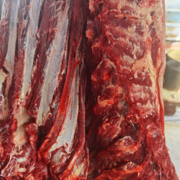 鲜驴肉品质正宗牛商推荐一手货源精品以质论价