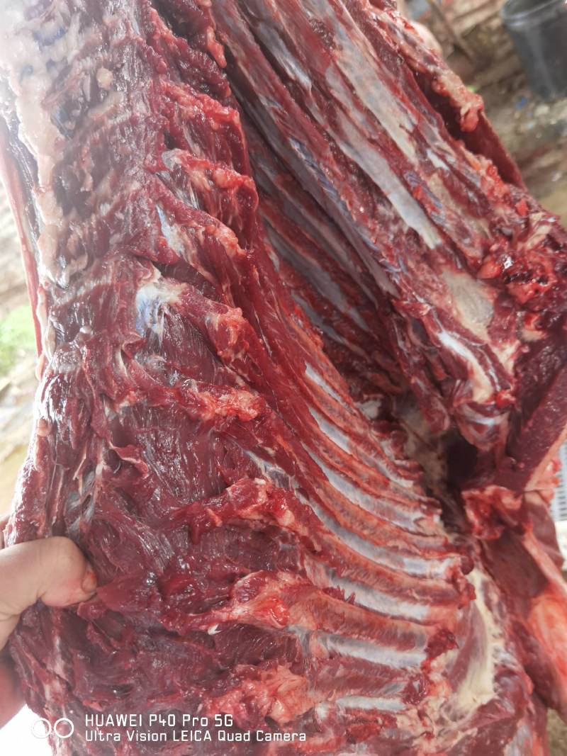 鲜驴肉品质正宗牛商推荐一手货源精品以质论价