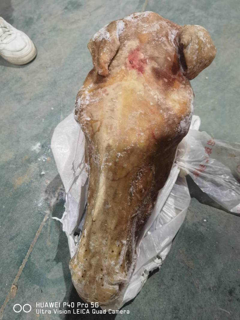 驴头带皮驴头实力供货，视频看产品，保质保量一手货源