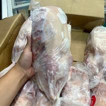【包邮】白条鸭新鲜冷冻白条鸭整只鸭子烤鸭店商用批发