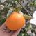 爱媛果冻橙，纯甜耙耙柑各种品质可定园一条龙服务