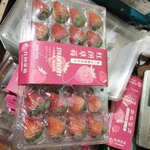 安徽嘉扬果业供应草莓