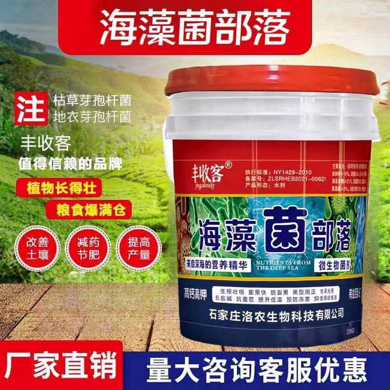 海藻菌部落微生物微生物菌肥疏松土壤抗盐碱性抗病增加产量
