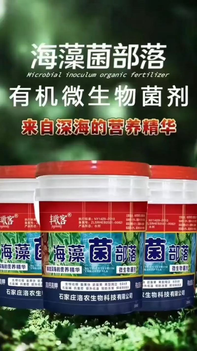 海藻菌部落微生物微生物菌肥疏松土壤抗盐碱性抗病增加产量