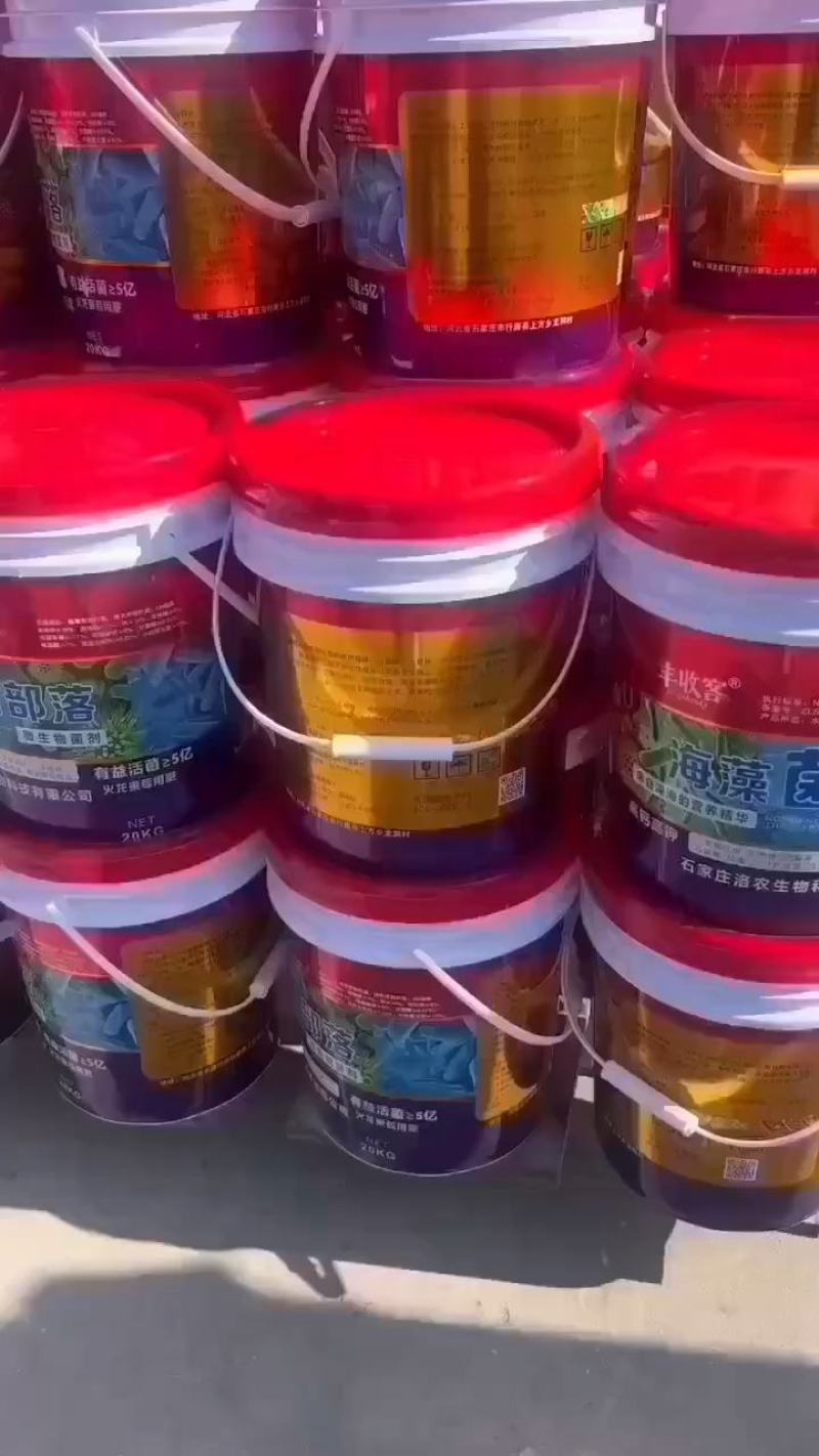 海藻菌部落微生物微生物菌肥疏松土壤抗盐碱性抗病增加产量